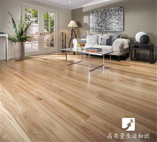 木地板、瓷砖还是塑胶地板？选对不后悔，家装必看指南